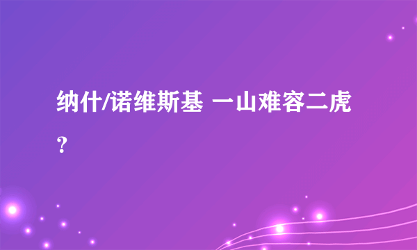 纳什/诺维斯基 一山难容二虎？