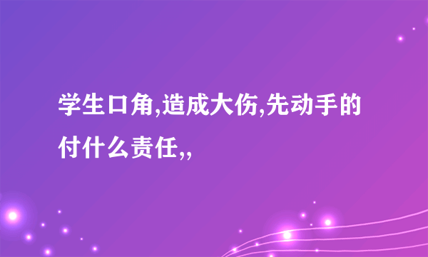 学生口角,造成大伤,先动手的付什么责任,,