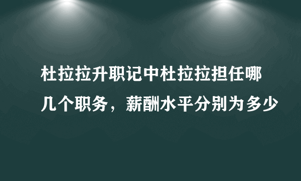 杜拉拉升职记中杜拉拉担任哪几个职务，薪酬水平分别为多少