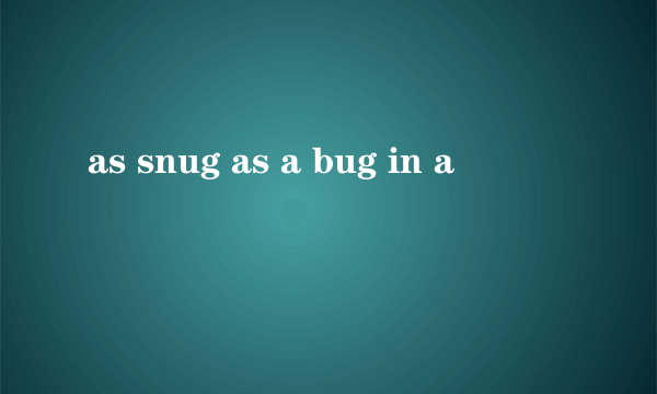 as snug as a bug in a