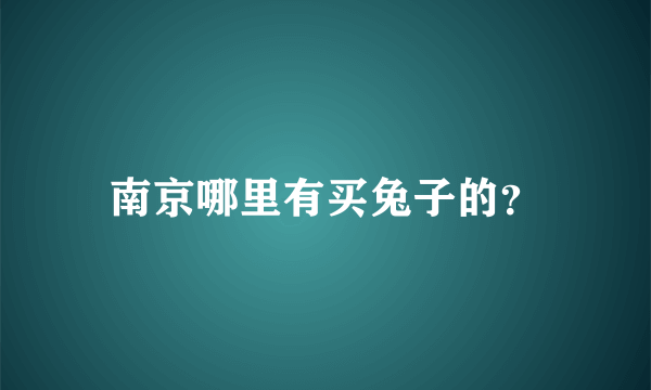 南京哪里有买兔子的？