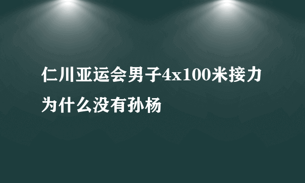 仁川亚运会男子4x100米接力为什么没有孙杨