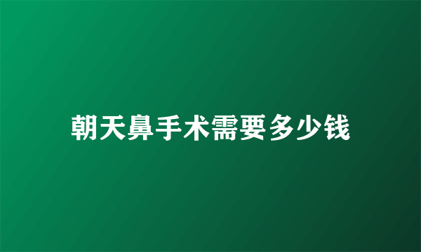 朝天鼻手术需要多少钱