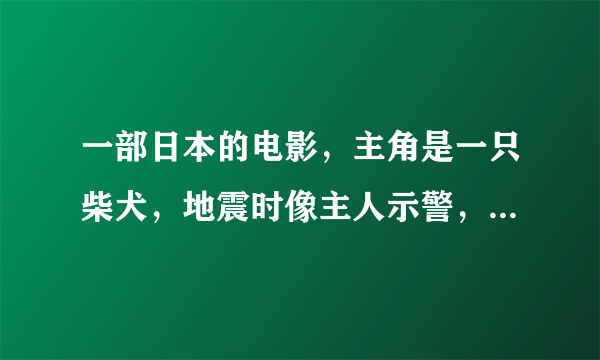 一部日本的电影，主角是一只柴犬，地震时像主人示警，后来小主人被救援队救走，狗狗追直升机，很感人，求