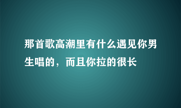 那首歌高潮里有什么遇见你男生唱的，而且你拉的很长