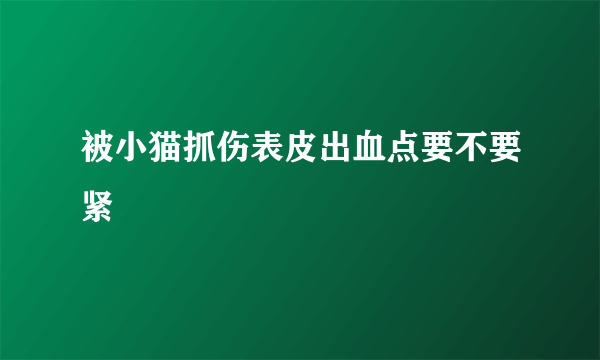 被小猫抓伤表皮出血点要不要紧