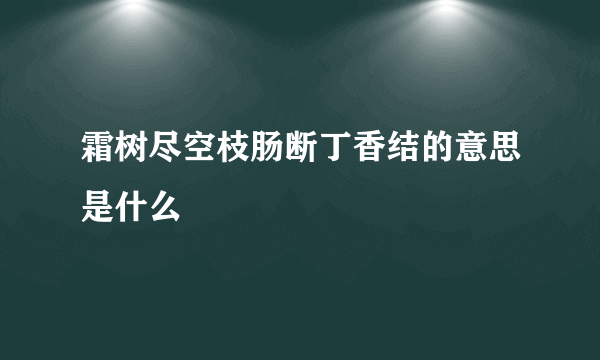 霜树尽空枝肠断丁香结的意思是什么