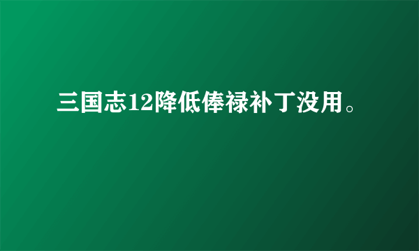 三国志12降低俸禄补丁没用。