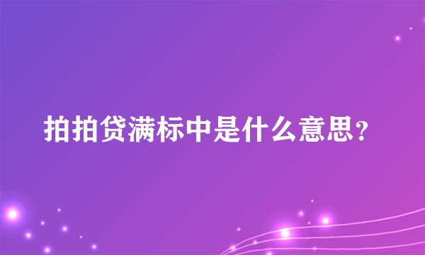 拍拍贷满标中是什么意思？