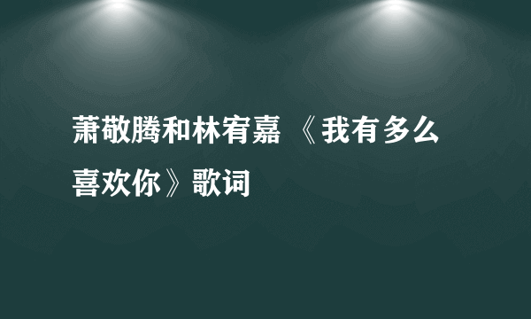 萧敬腾和林宥嘉 《我有多么喜欢你》歌词