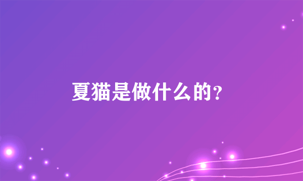 夏猫是做什么的？