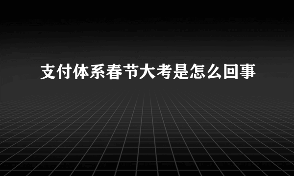 支付体系春节大考是怎么回事