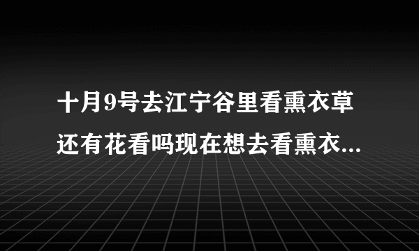 十月9号去江宁谷里看熏衣草还有花看吗现在想去看熏衣草不知道有没有