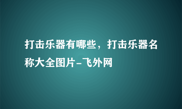 打击乐器有哪些，打击乐器名称大全图片-飞外网