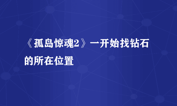 《孤岛惊魂2》一开始找钻石的所在位置