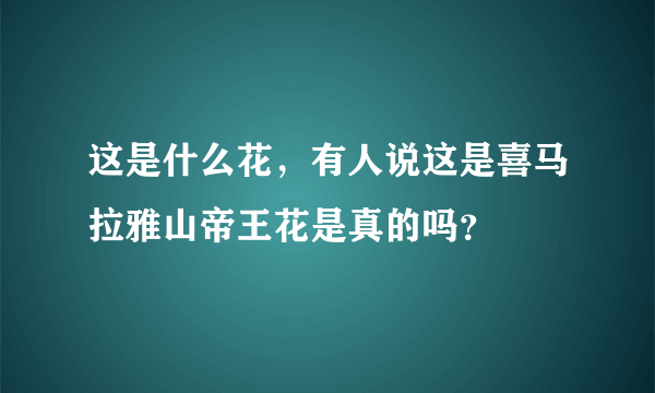 这是什么花，有人说这是喜马拉雅山帝王花是真的吗？