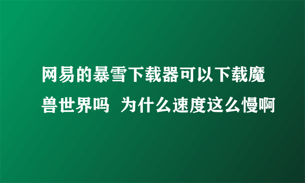 网易的暴雪下载器可以下载魔兽世界吗  为什么速度这么慢啊