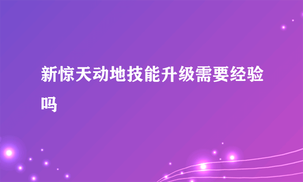 新惊天动地技能升级需要经验吗