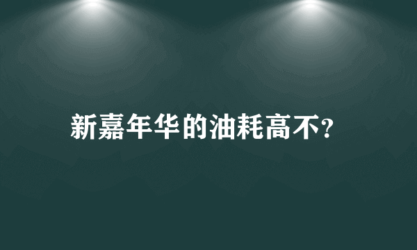 新嘉年华的油耗高不？