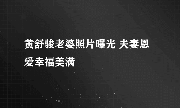 黄舒骏老婆照片曝光 夫妻恩爱幸福美满