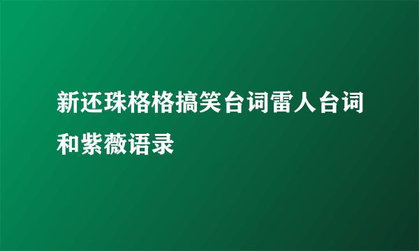 新还珠格格搞笑台词雷人台词和紫薇语录