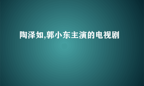 陶泽如,郭小东主演的电视剧