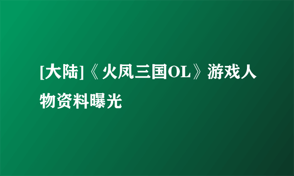 [大陆]《火凤三国OL》游戏人物资料曝光