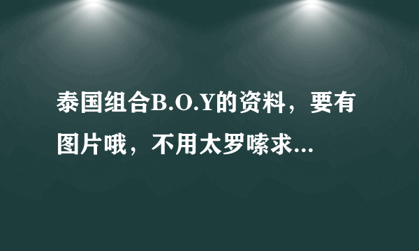 泰国组合B.O.Y的资料，要有图片哦，不用太罗嗦求大神帮助