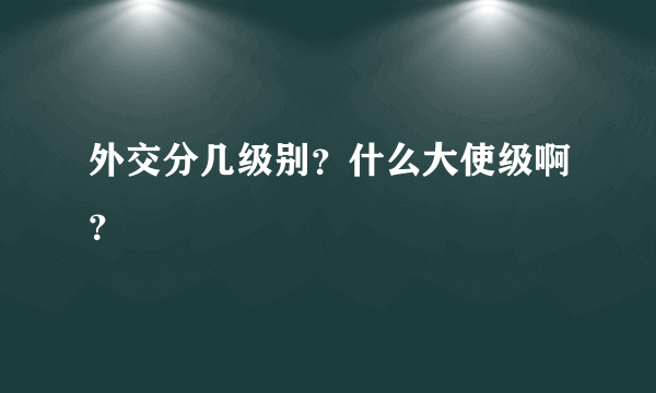 外交分几级别？什么大使级啊？