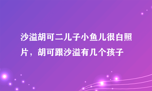 沙溢胡可二儿子小鱼儿很白照片，胡可跟沙溢有几个孩子