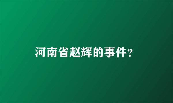 河南省赵辉的事件？