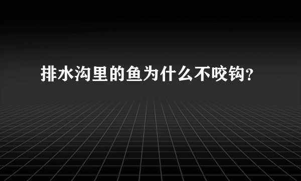 排水沟里的鱼为什么不咬钩？