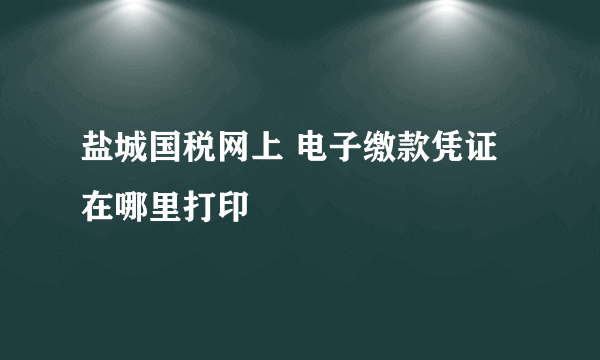 盐城国税网上 电子缴款凭证 在哪里打印