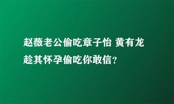 赵薇老公偷吃章子怡 黄有龙趁其怀孕偷吃你敢信？