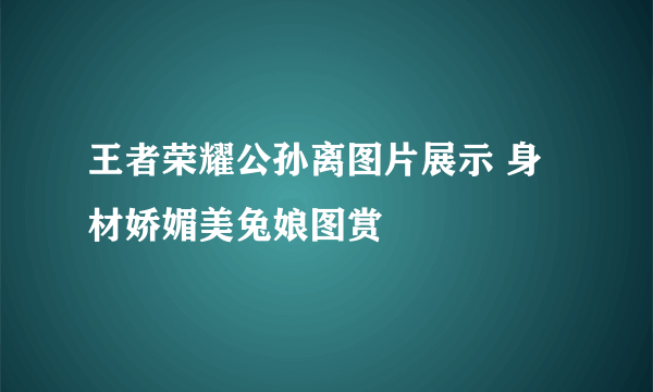 王者荣耀公孙离图片展示 身材娇媚美兔娘图赏