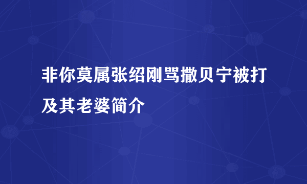 非你莫属张绍刚骂撒贝宁被打及其老婆简介