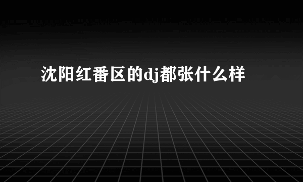 沈阳红番区的dj都张什么样