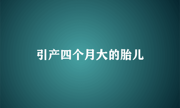 引产四个月大的胎儿