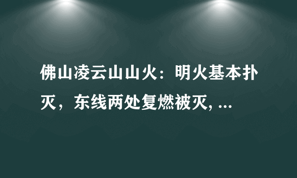 佛山凌云山山火：明火基本扑灭，东线两处复燃被灭, 你怎么看？