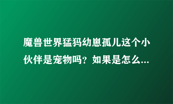 魔兽世界猛犸幼崽孤儿这个小伙伴是宠物吗？如果是怎么获得呢？把任务详细介绍下吧，谢谢啊