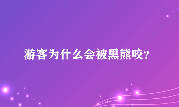 游客为什么会被黑熊咬？