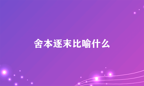 舍本逐末比喻什么