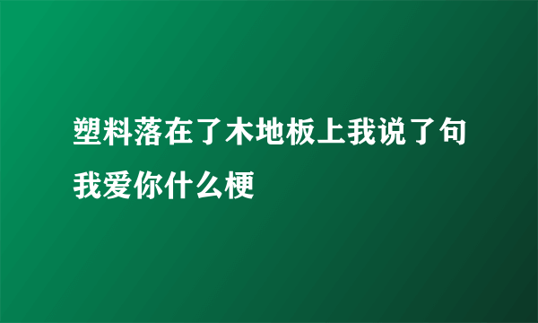 塑料落在了木地板上我说了句我爱你什么梗