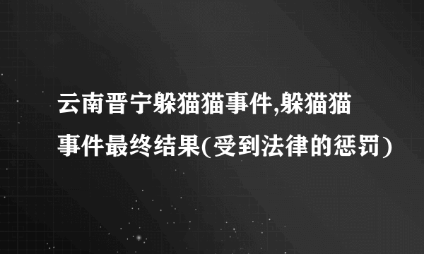 云南晋宁躲猫猫事件,躲猫猫事件最终结果(受到法律的惩罚)