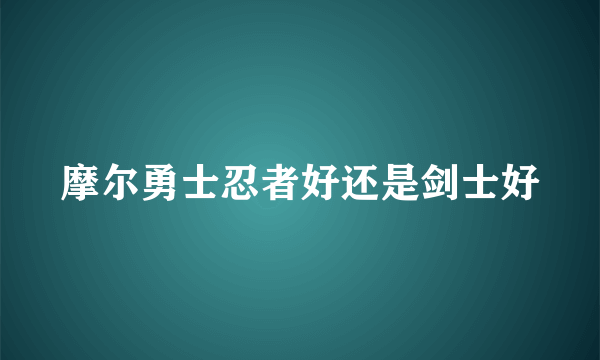 摩尔勇士忍者好还是剑士好