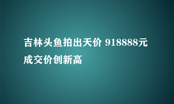 吉林头鱼拍出天价 918888元成交价创新高