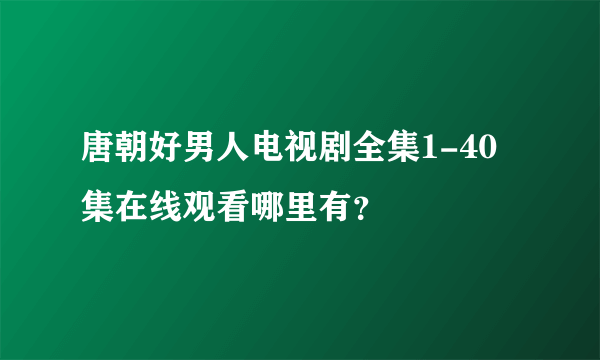 唐朝好男人电视剧全集1-40集在线观看哪里有？