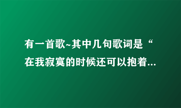 有一首歌~其中几句歌词是“在我寂寞的时候还可以抱着你”~~歌名是什么了、？