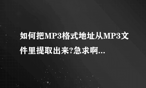 如何把MP3格式地址从MP3文件里提取出来?急求啊！看到的马上回答！