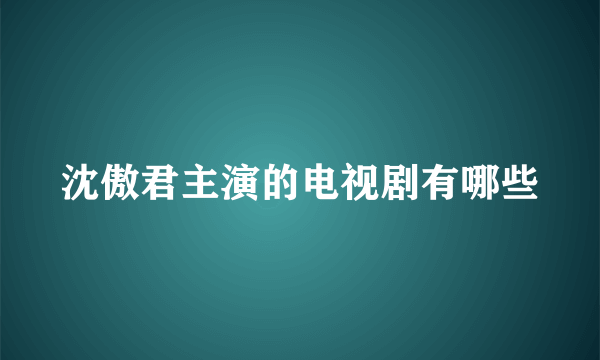 沈傲君主演的电视剧有哪些